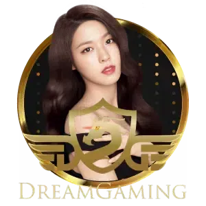huayvip