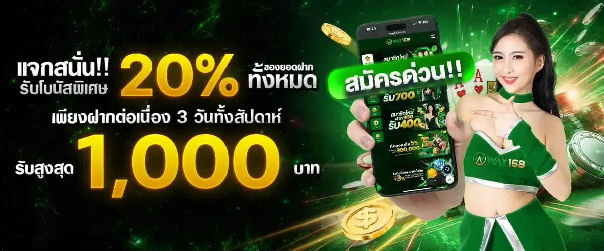 huayvip